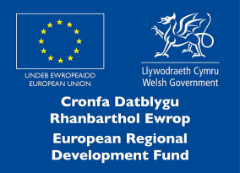 ERDF logo for RISE press release